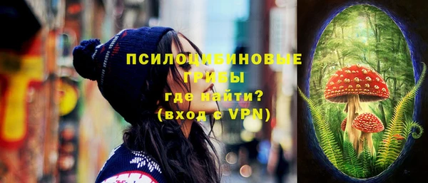эйфоретик Козловка
