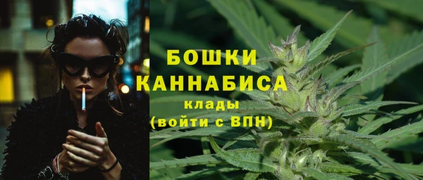 амф Корсаков