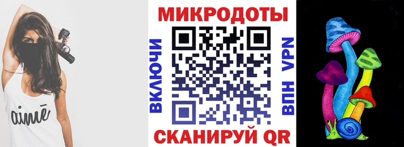 купить наркотик  Торопец  Псилоцибиновые грибы MAGIC MUSHROOMS 